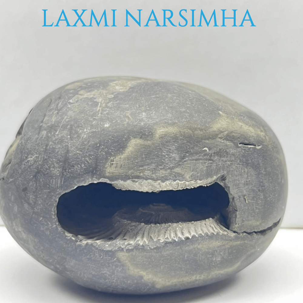 Laxmi Narsimha LN-12