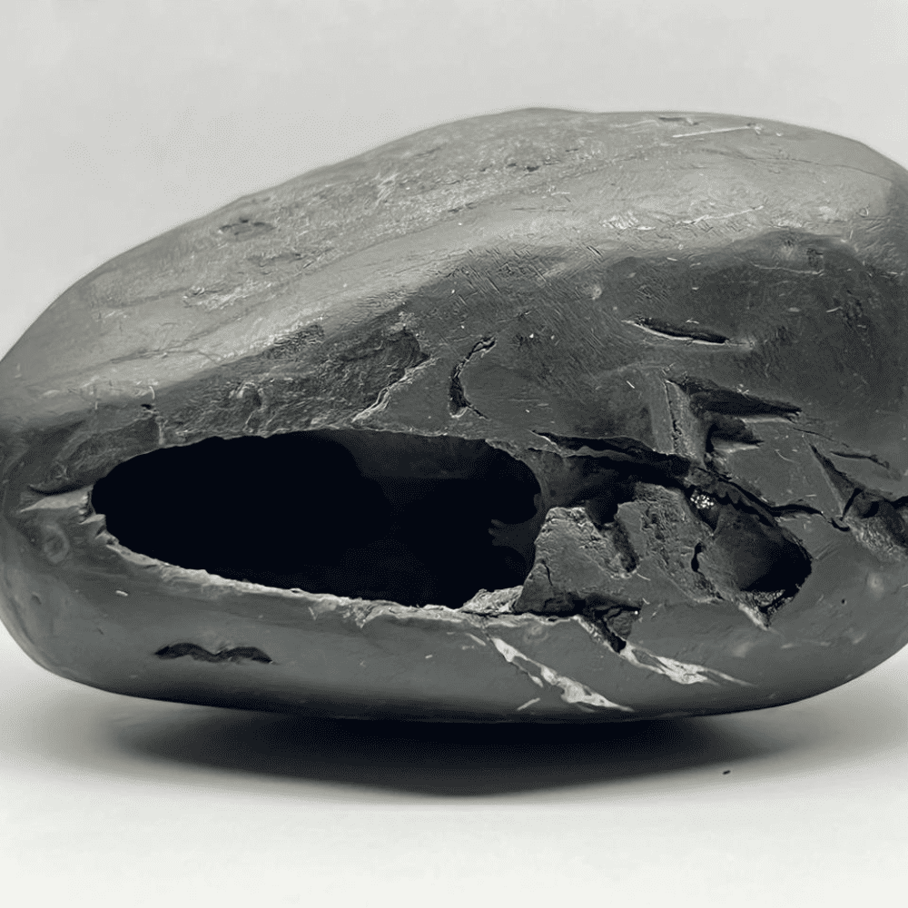 Garbha Janardana Shaligram 4Chakra M07(5inch/900gm)