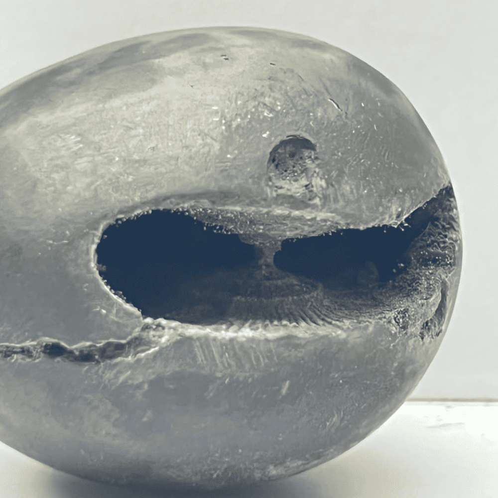 Laxmi Narsimha Shaligram LN100(2inch/150gm)