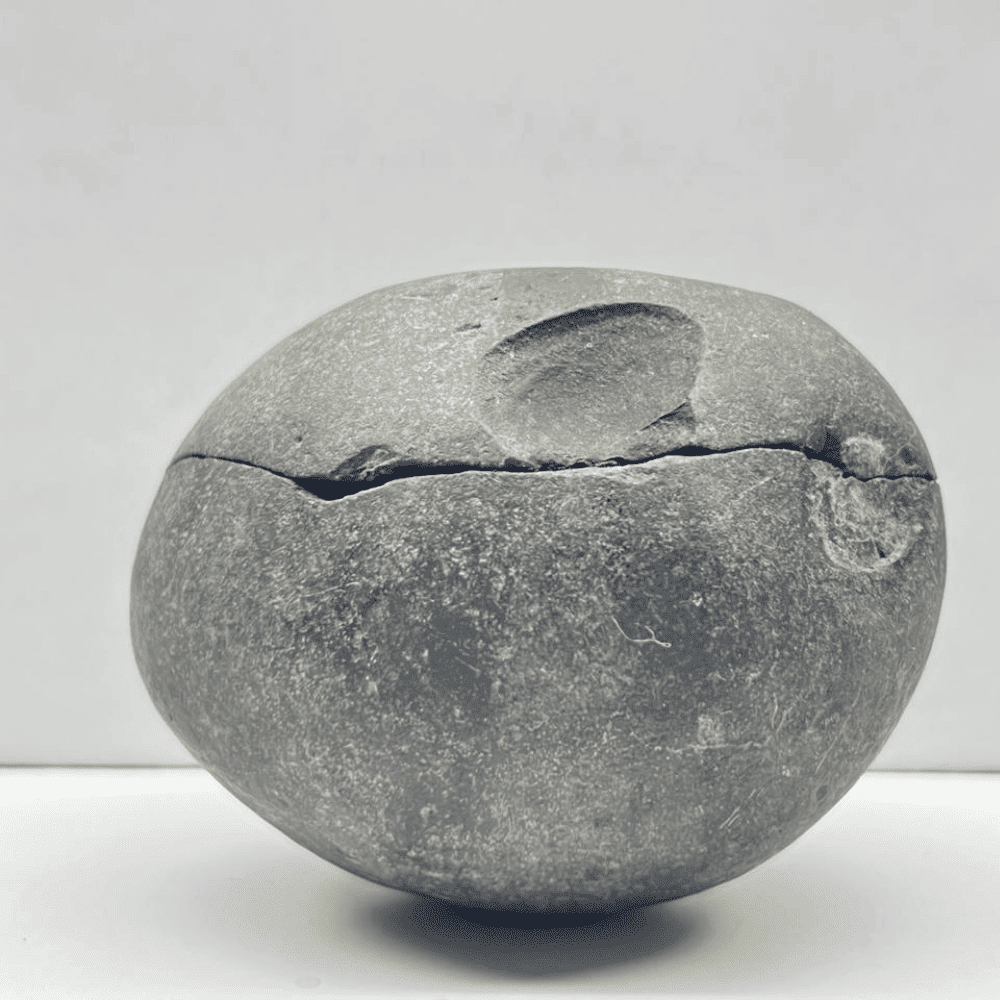 Harihar Shaligram HH-01