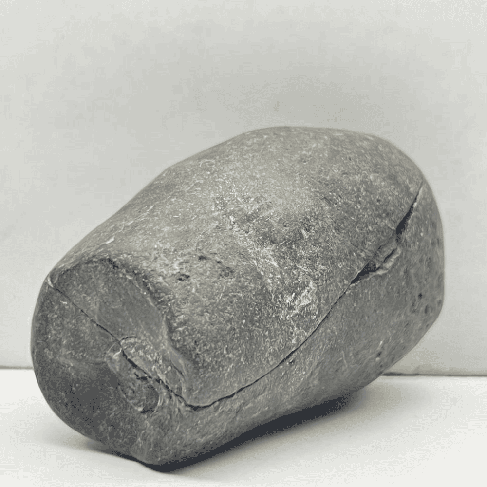 Harihar Shaligram HH-02