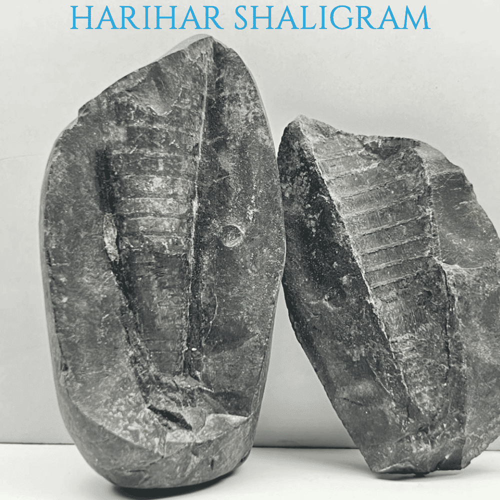 Harihar Shaligram HH-03