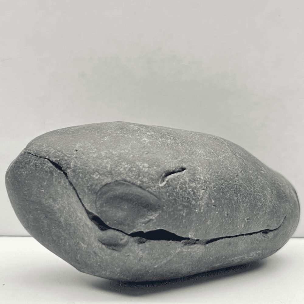 Harihar Shaligram HH-03