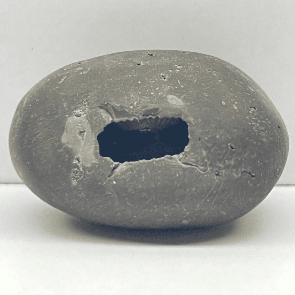 Laxmi Damodar Shaligram LN-82 (2.5inch/80gm)
