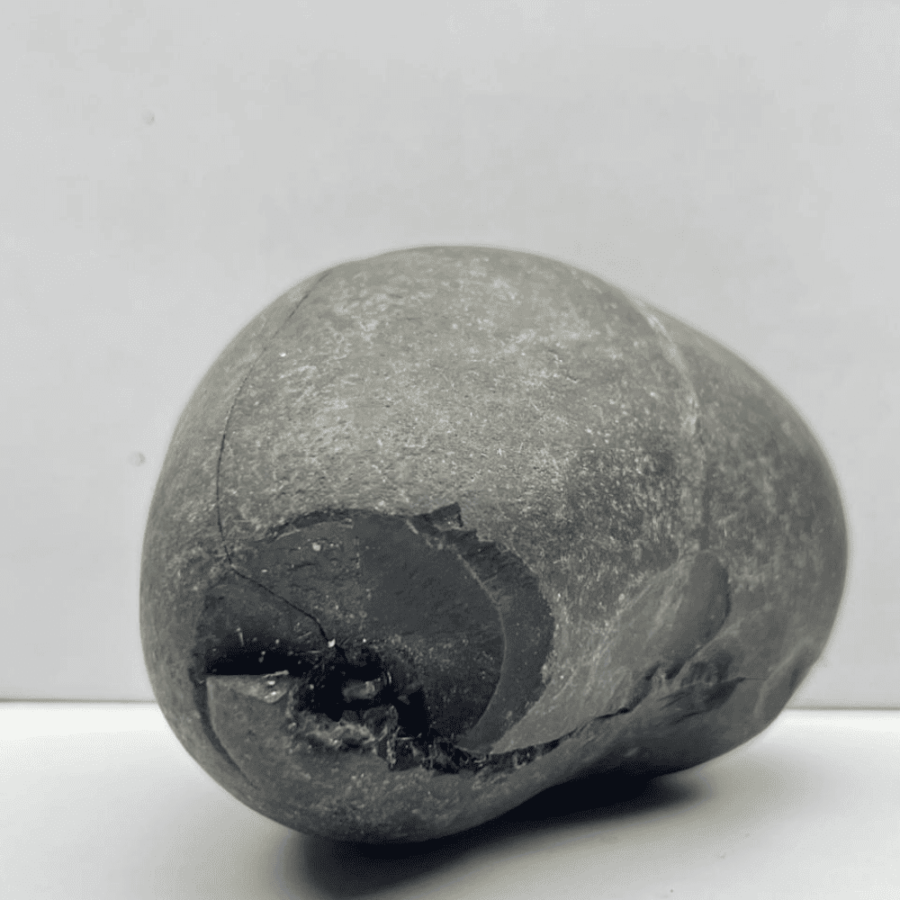 Harihar Shaligram HH-04