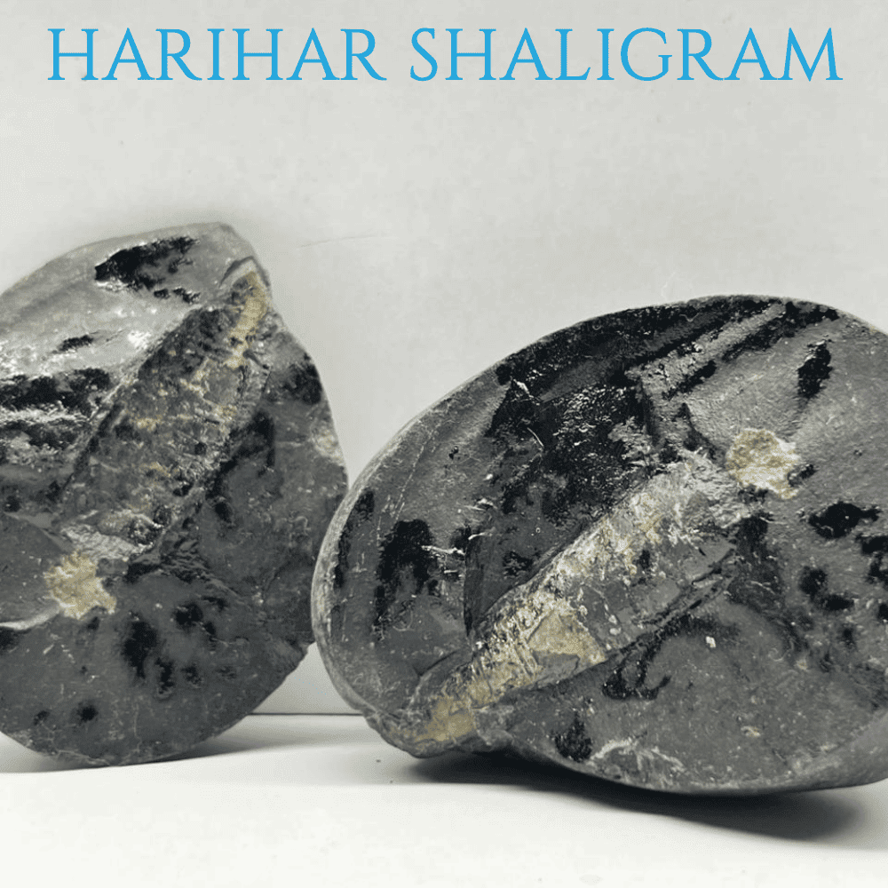 Harihar Shaligram HH-05