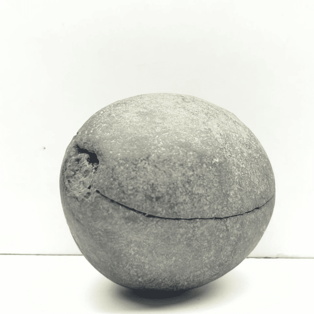 Harihar Shaligram HH-06