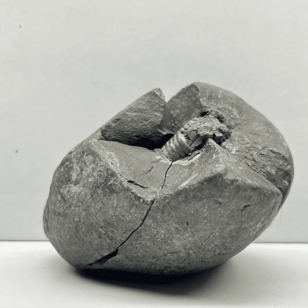 Harihar Shaligram HH-07