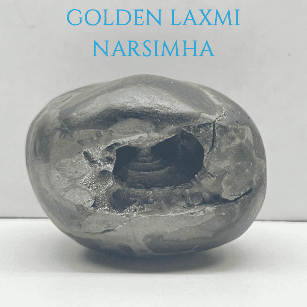 Golden Laxmi Narsimha Shaligram