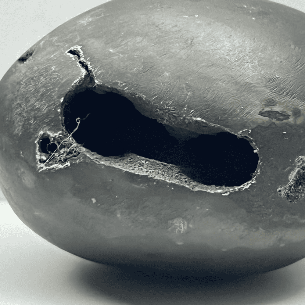 Laxmi Narsimha Shaligram LN101(2inch/160gm)