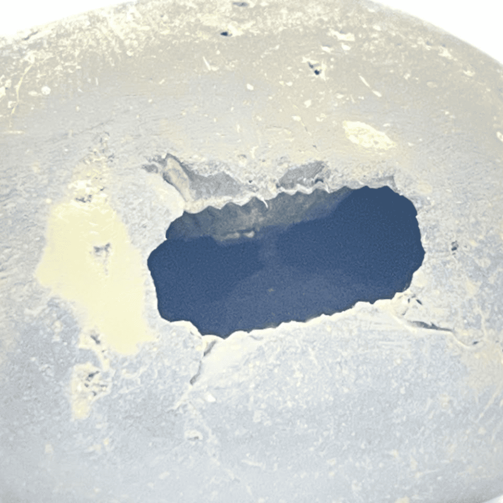 Laxmi Damodar Shaligram LN-82 (2.5inch/80gm)