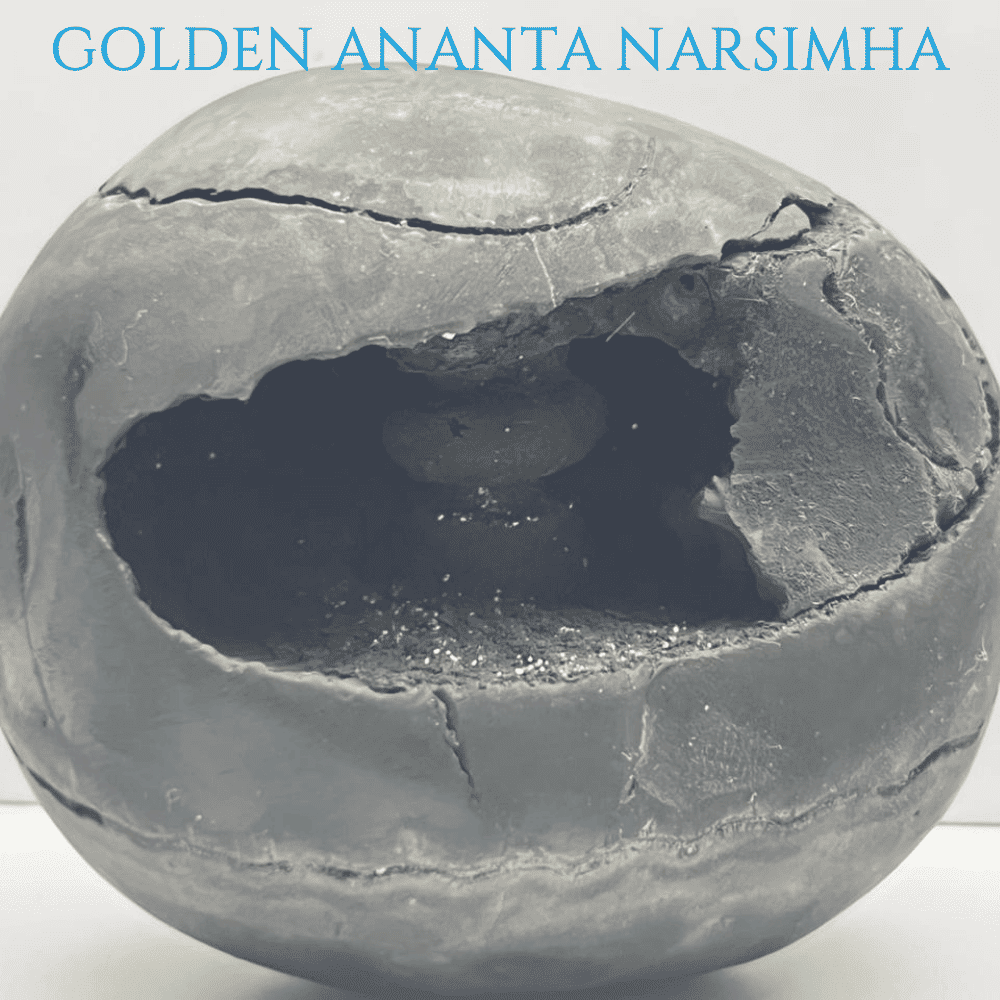 Golden Ananta Narsimha Shaligram