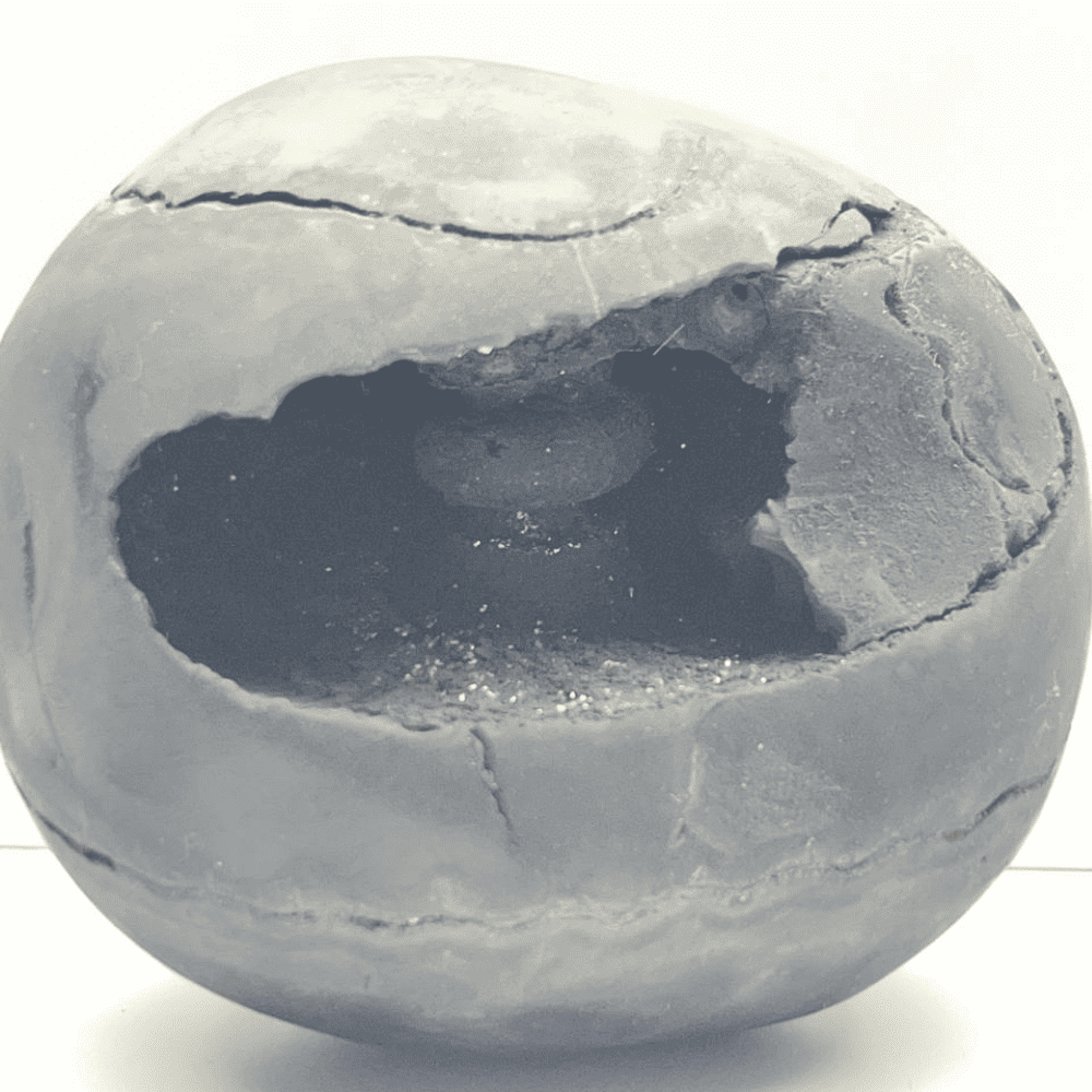 Golden Ananta Narsimha Shaligram