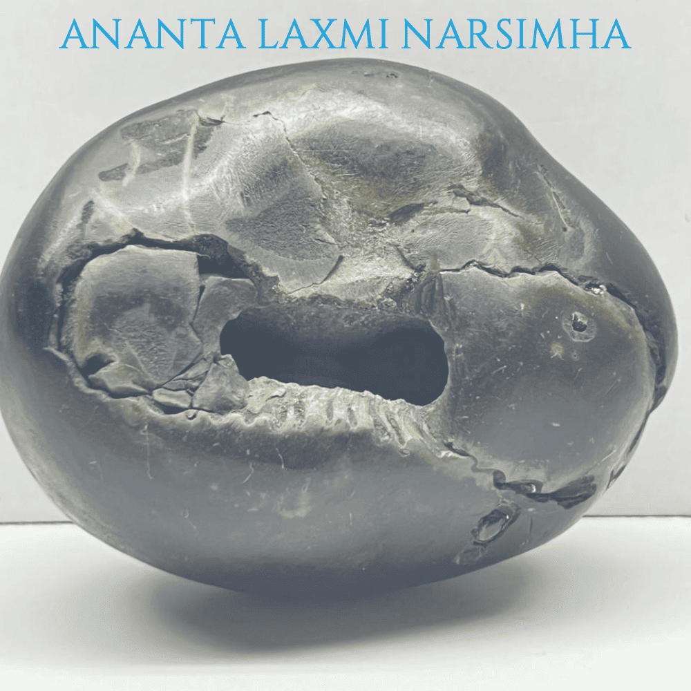Ananta Laxmi Narsimha Shaligram