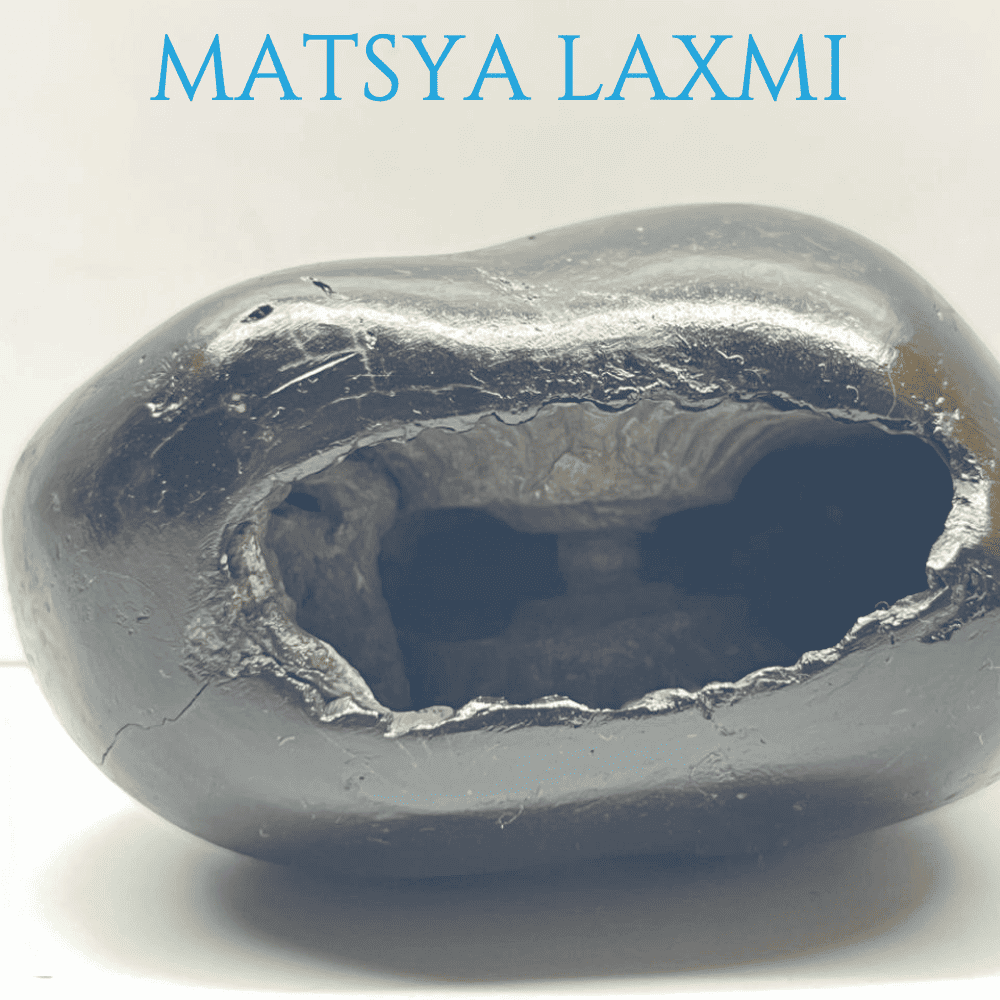 Matsya Laxmi Shaligram