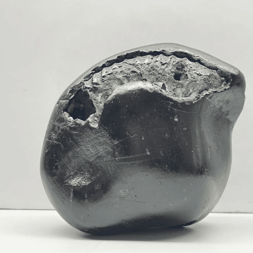 Matsya Laxmi Shaligram