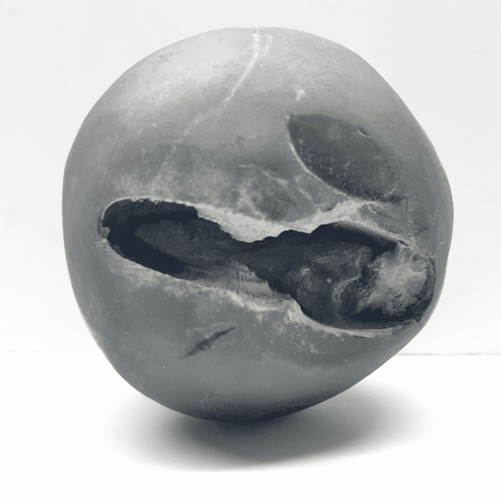 Laxmi Narsimha Shaligram LN102(3inch/340gm)