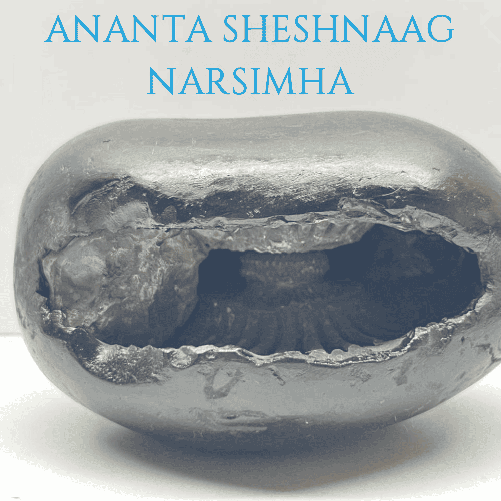 Ananta Sheshnaag Narsimha Shaligram