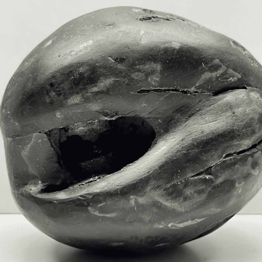 Golden Laxmi Damodar Shaligram LN-63 (5inch/830gm)