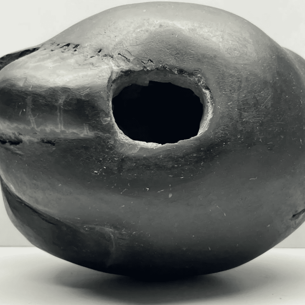 Laxmi Damodar Shaligram LN-64 (7inch/1650gm)