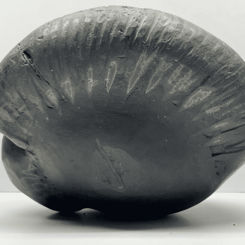Laxmi Damodar Shaligram LN-64 (7inch/1650gm)