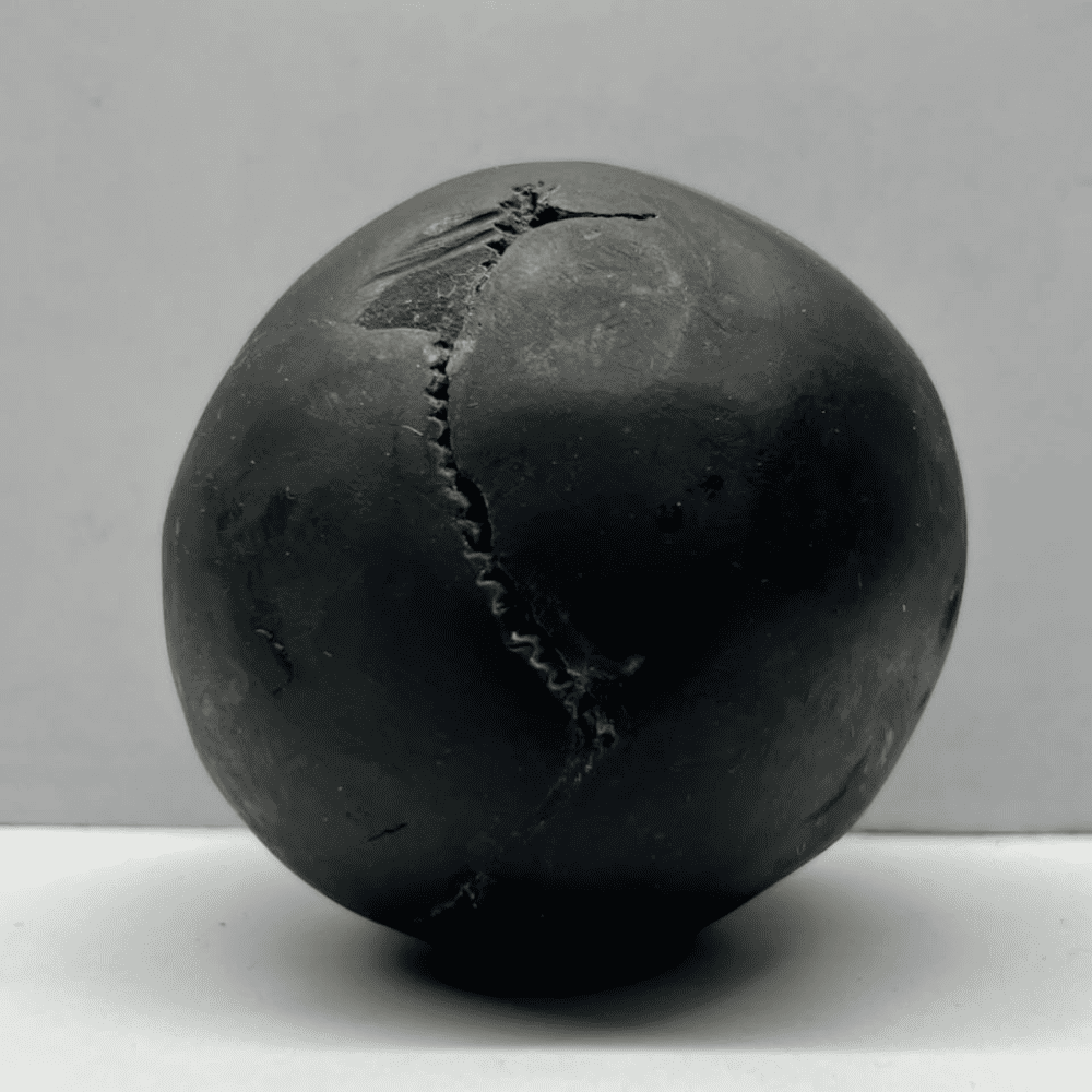 Laxmi Narsimha Shaligram LN102(3inch/340gm)