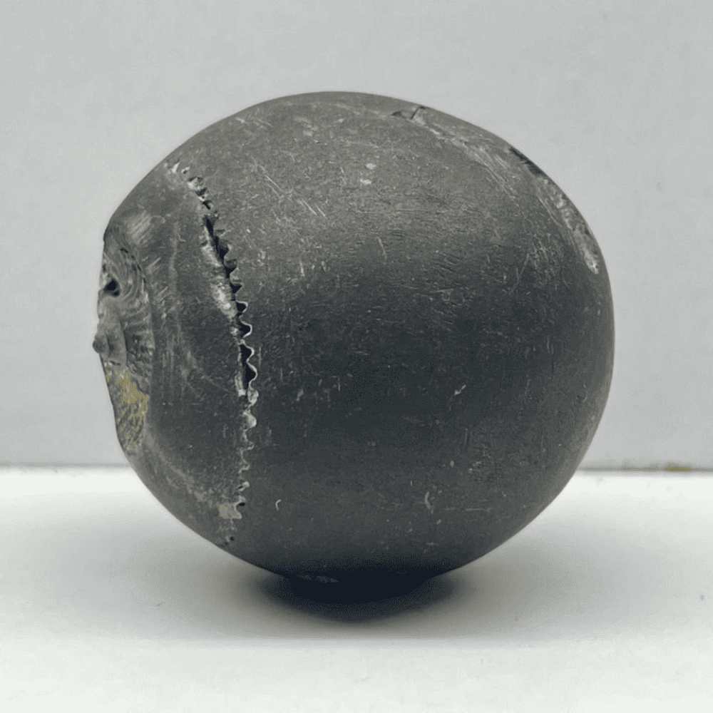 Tri-deva Sudarshan Shaligram 3Chakra M08(1.5inch/80gm)
