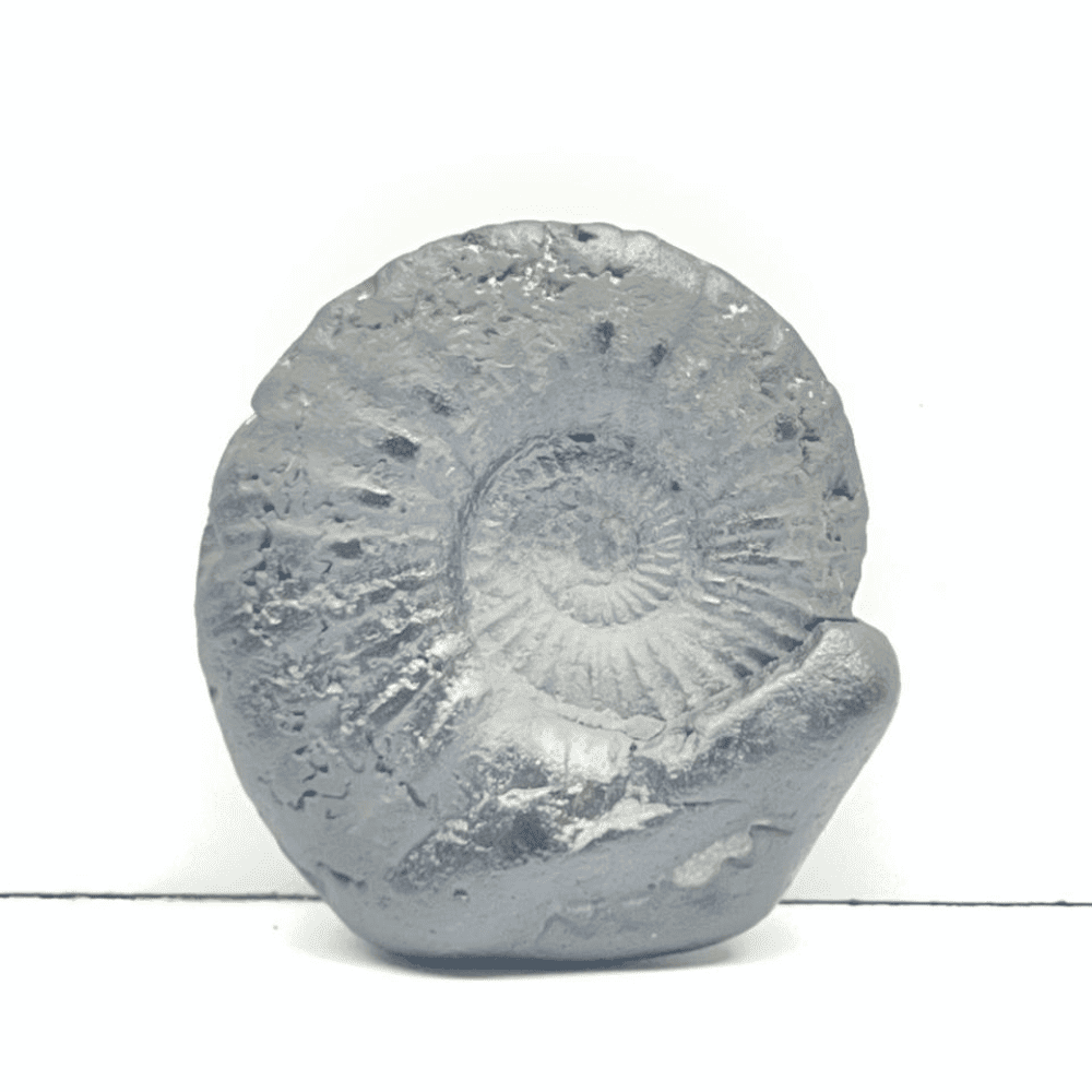 Double Sudarshan Shaligram (1.4Inch/19gm) DS-13