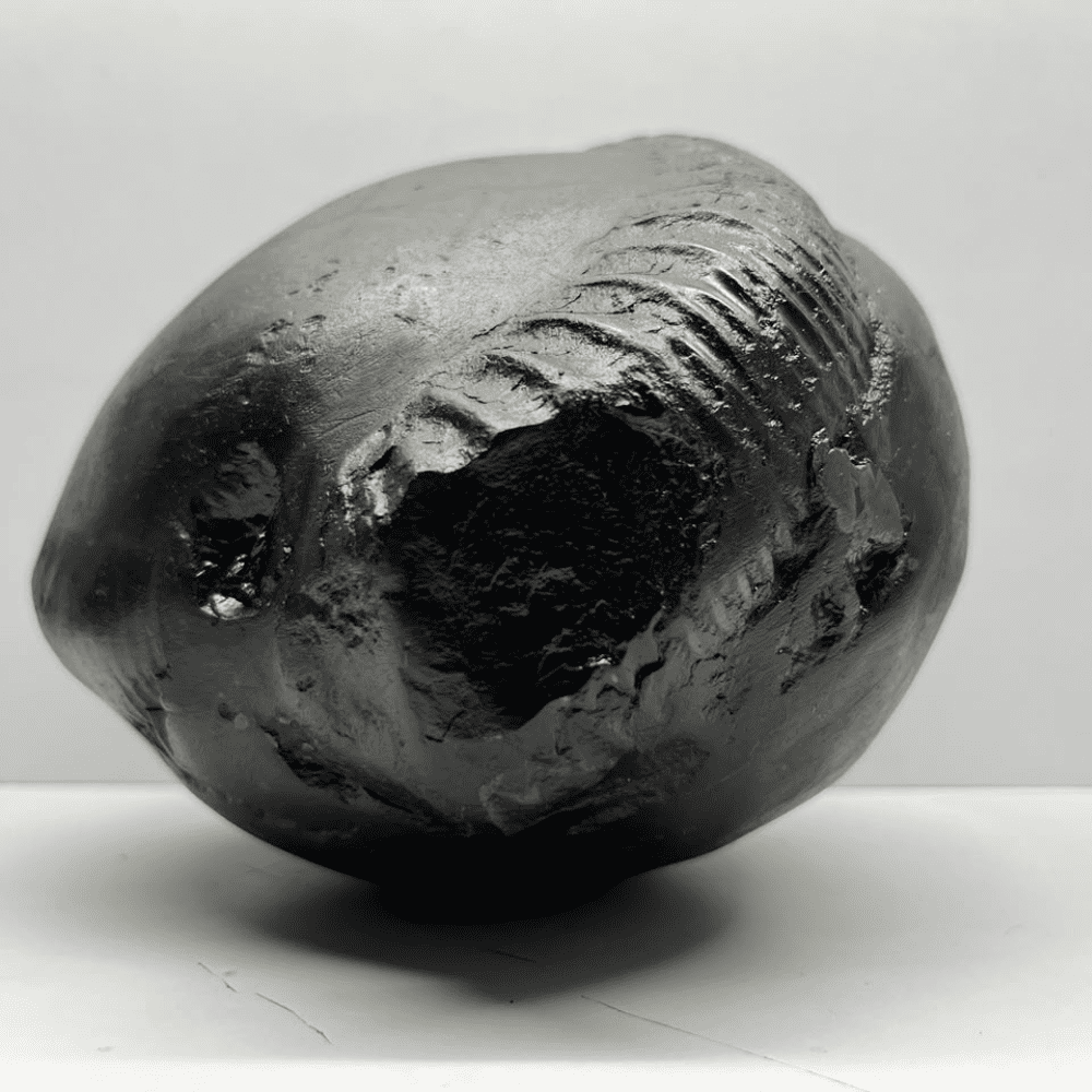 Mahavishnu Shaligram (7inch/3700gm)