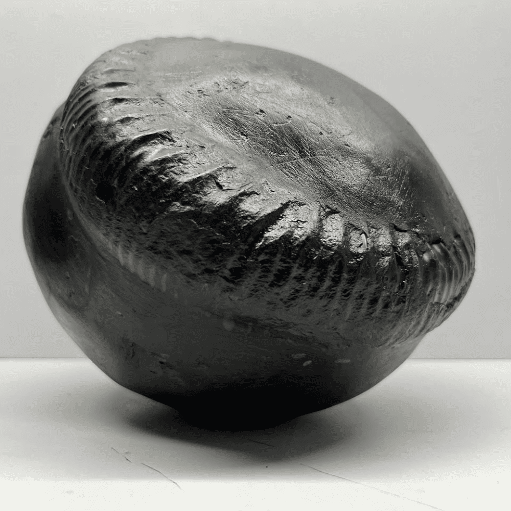 Mahavishnu Shaligram (7inch/3700gm)