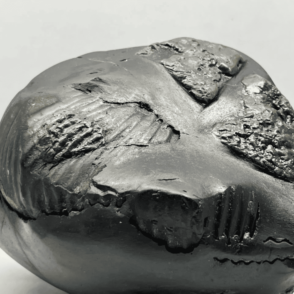 Swarna Garbha Laxmi Narayana Shaligram (9inch/4420gm)