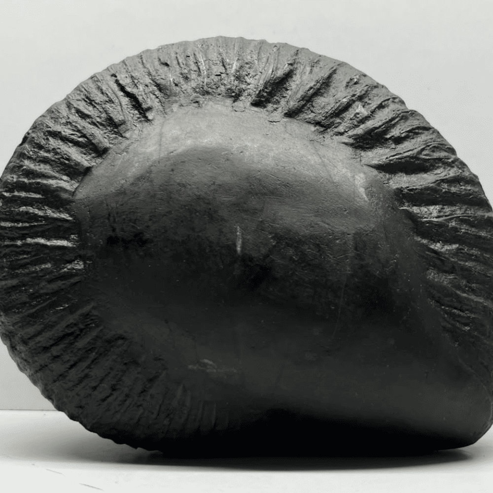 Mahanarsimha Shaligram (8inch/3850gm)