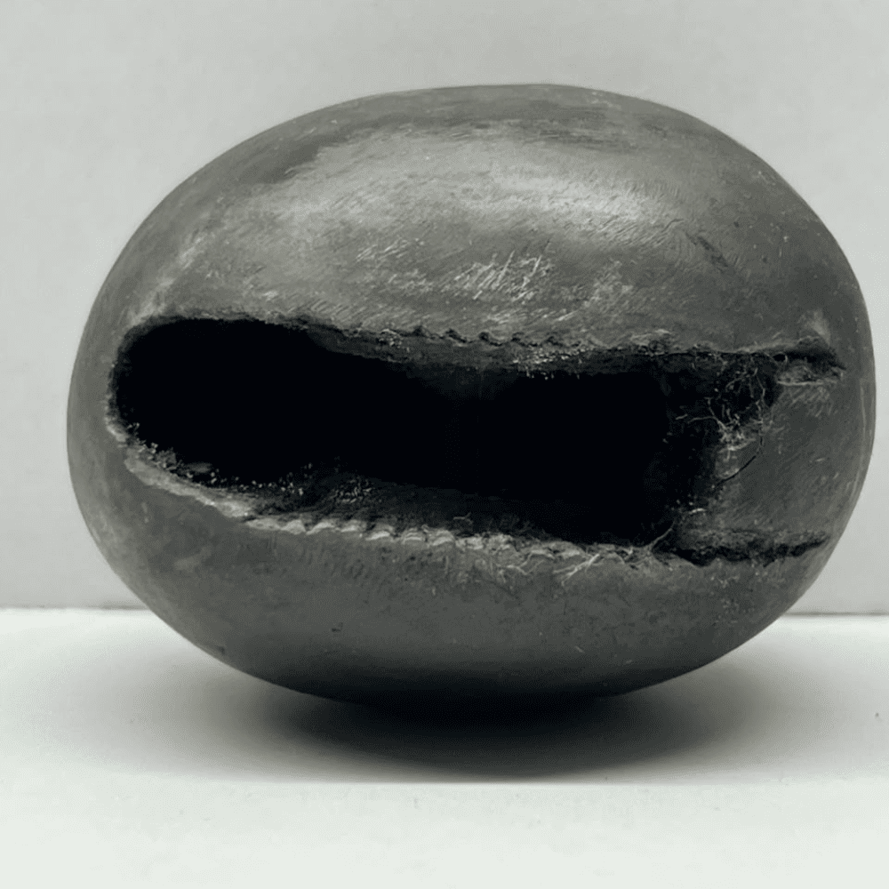 Laxmi Narsimha Shaligram LN104(2.5inch/160gm)