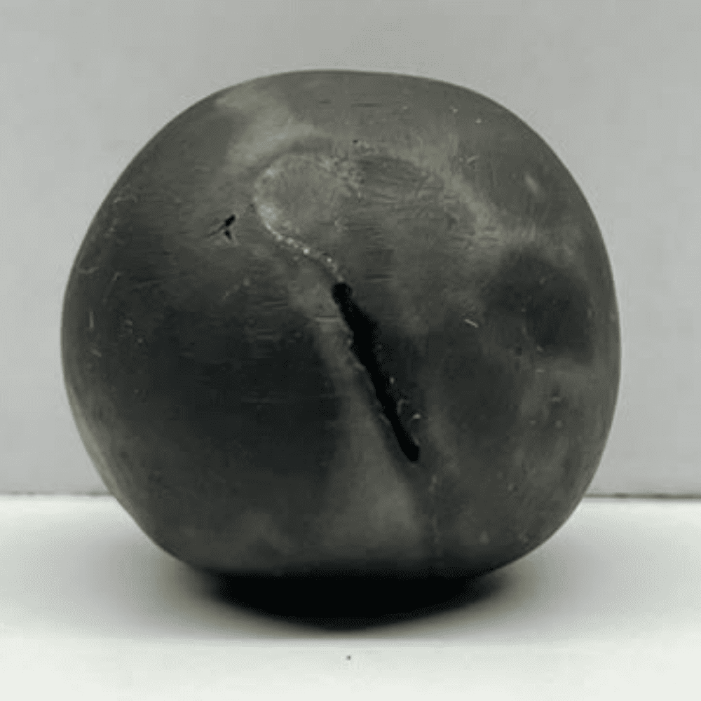 Laxmi Narayana Shaligram LN-80 (2inch/100gm)