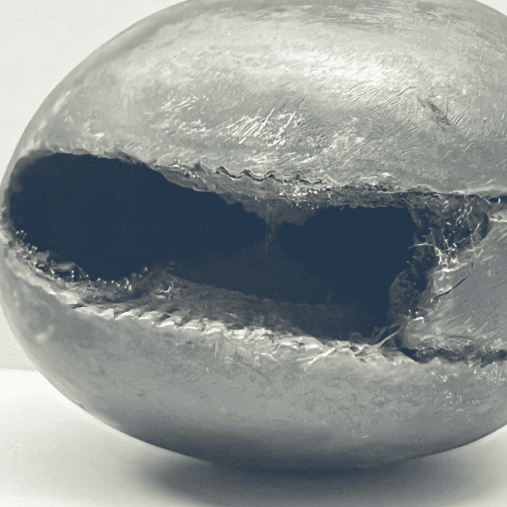 Laxmi Narsimha Shaligram LN104(2.5inch/160gm)