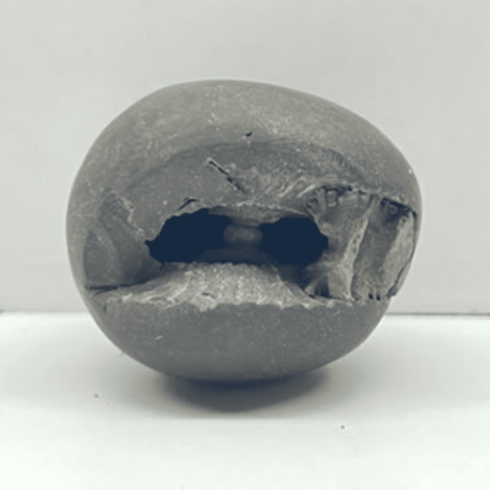 Kurma laxmi narayana shaligram  LN81 (2inch/76gm)