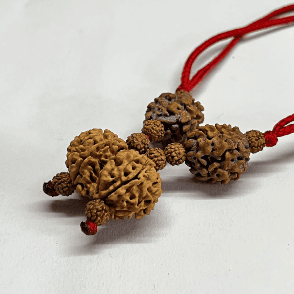 Relationship Kavach (2+2+Gaurishankar Rudraksha)