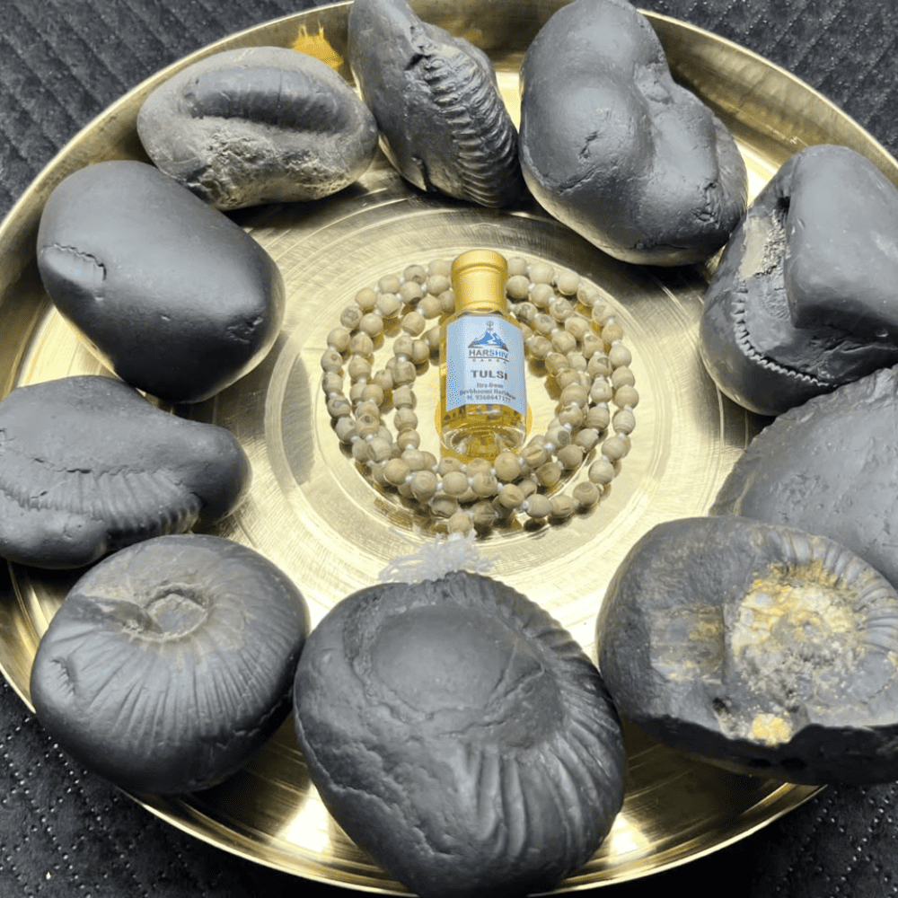 Dashavatar Shaligram Set-Big Size