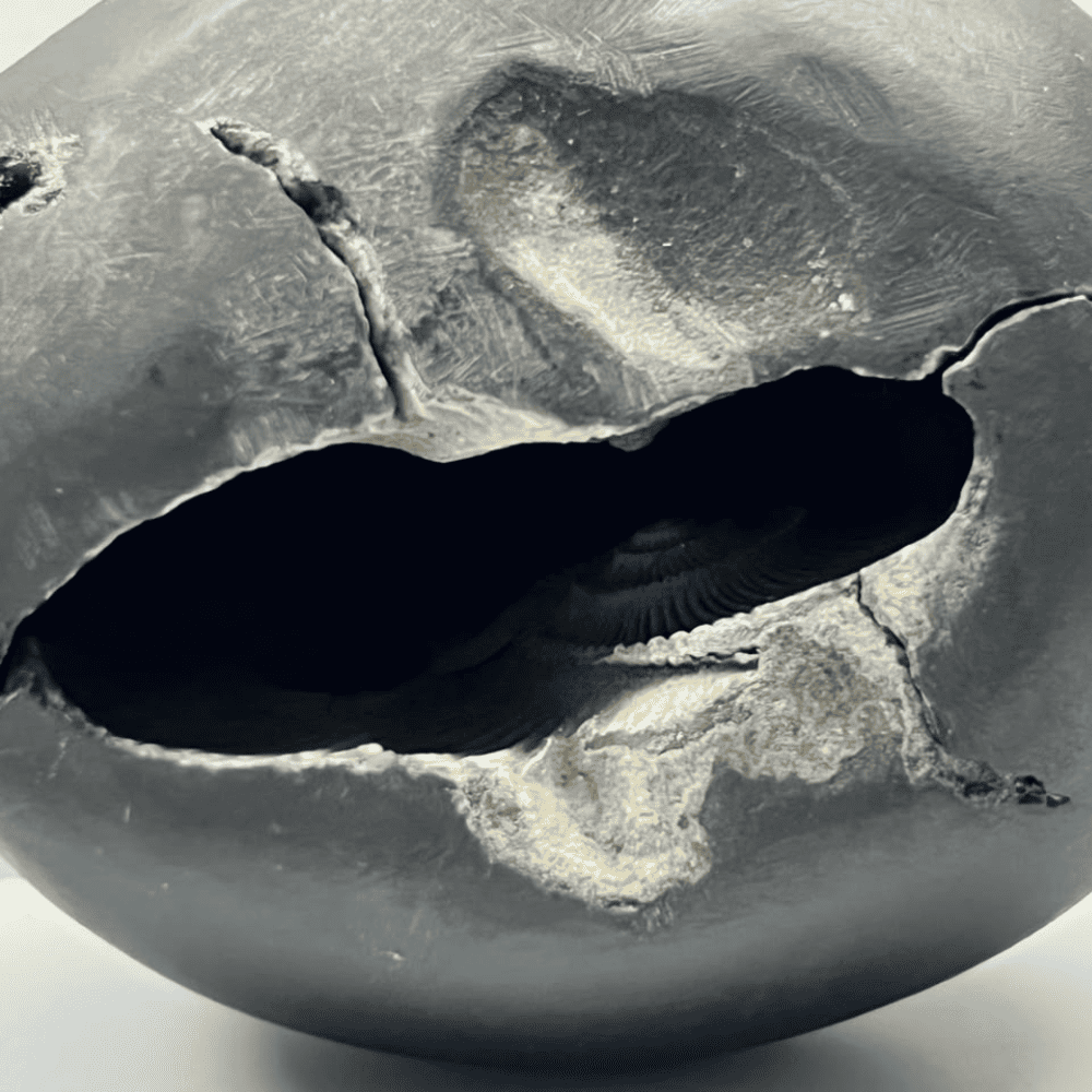Laxmi Narsimha Shaligram LN-91 (3inch/285gm)