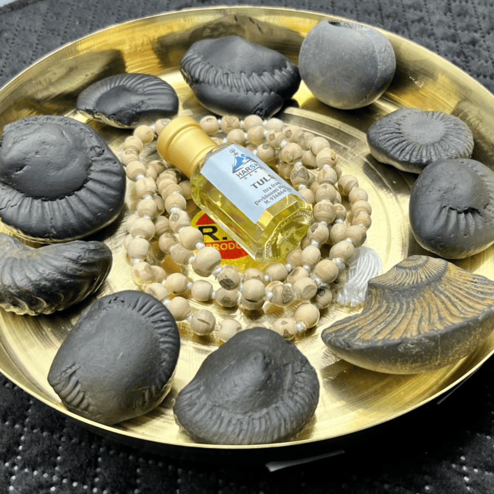 Dashavatar Shaligram Set-Small Size