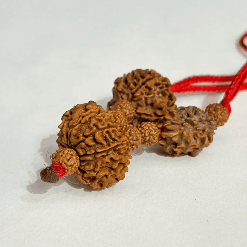 Stress Anxiety Kavach (2+5+10 Mukhi Rudraksha)