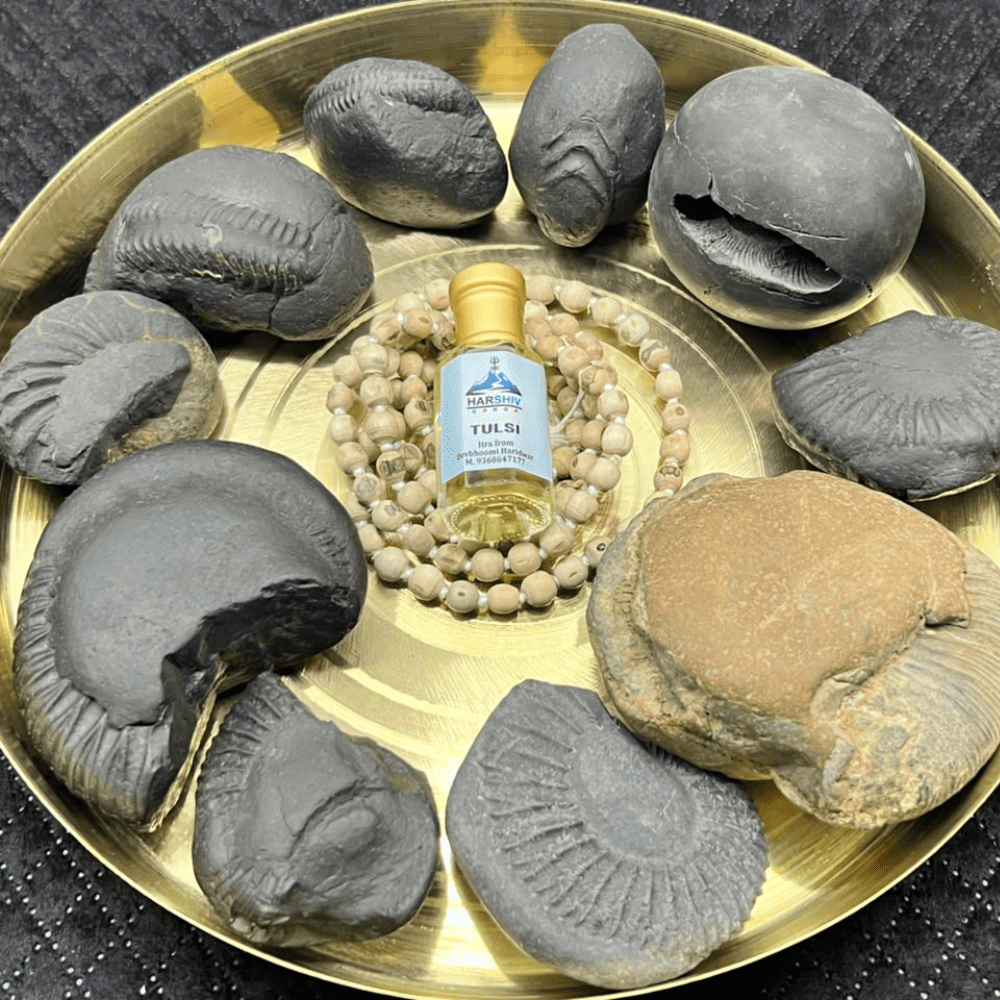 Dashavatar Shaligram Set-Medium Size