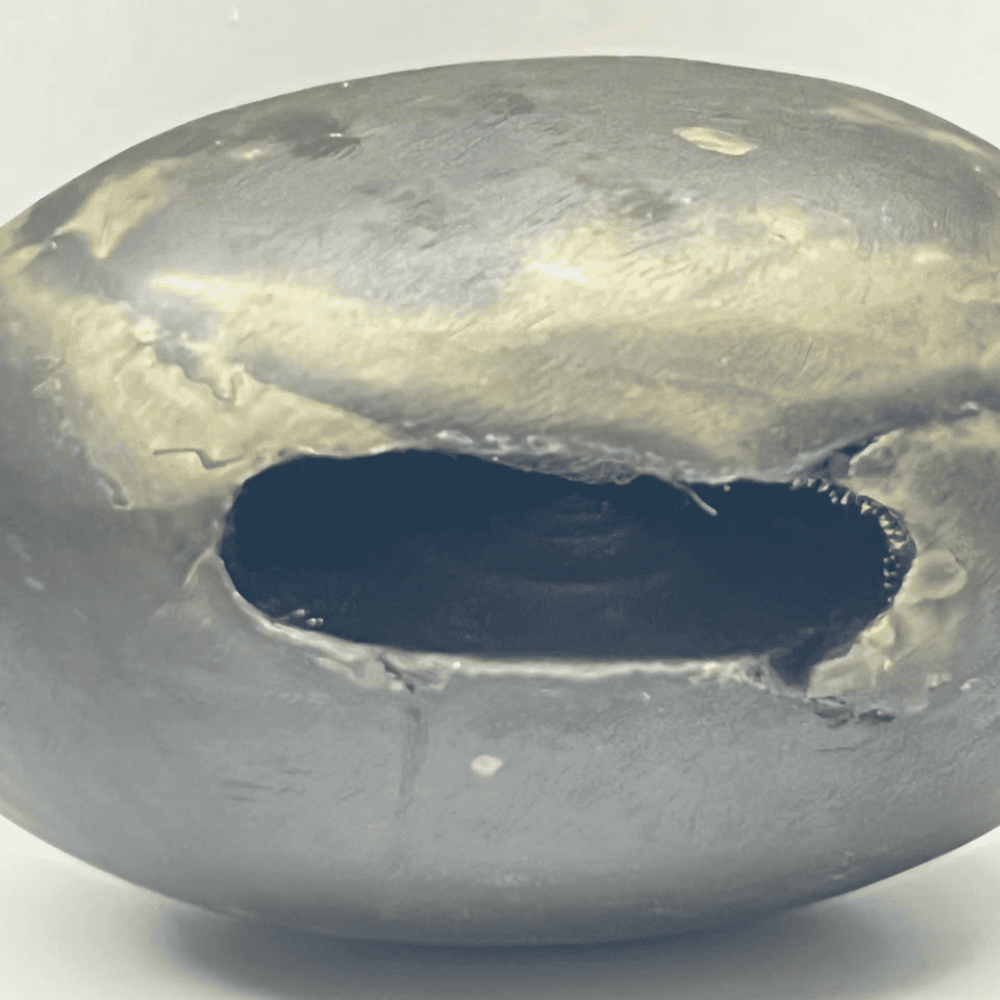 Laxmi Narsimha Shaligram LN105(2inch/150gm)