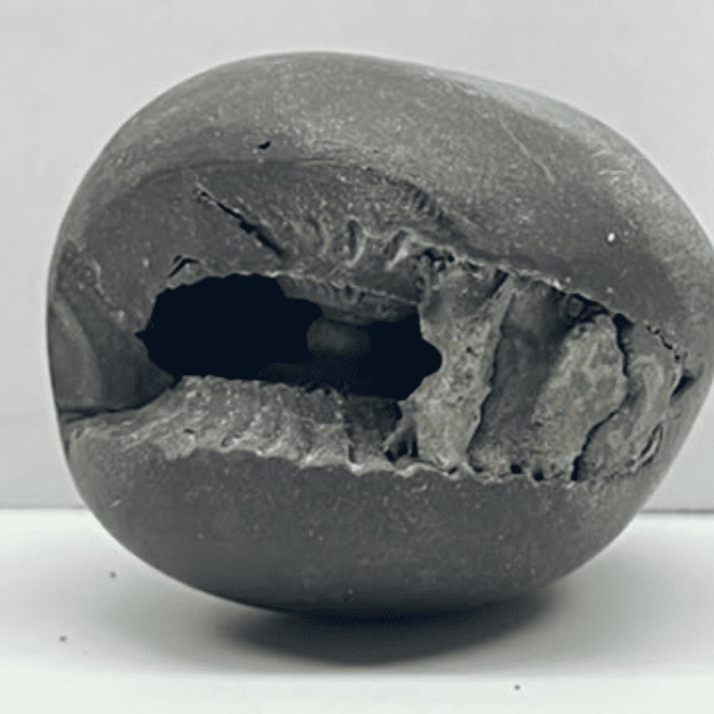 Kurma laxmi narayana shaligram  LN81 (2inch/76gm)