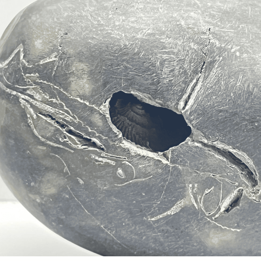 Laxmi Narayana Sita Ram Shaligram 4Chakras M10(2.5inch/190gm)
