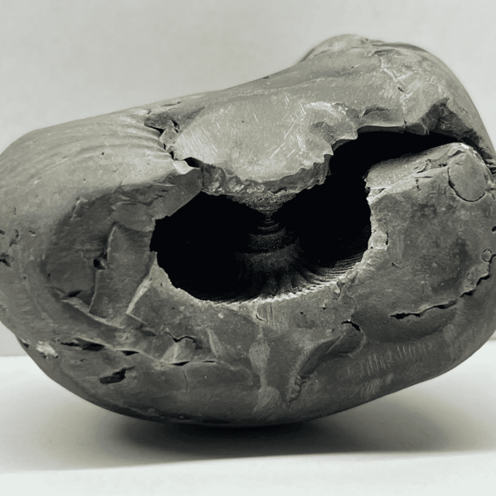 Golden Hrishikesha Shaligram LN106(3inch/260gm)