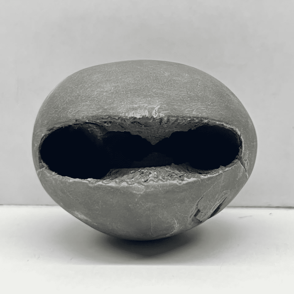 Ugra Narsimha Shaligram LN132(2.5inch/130gm)