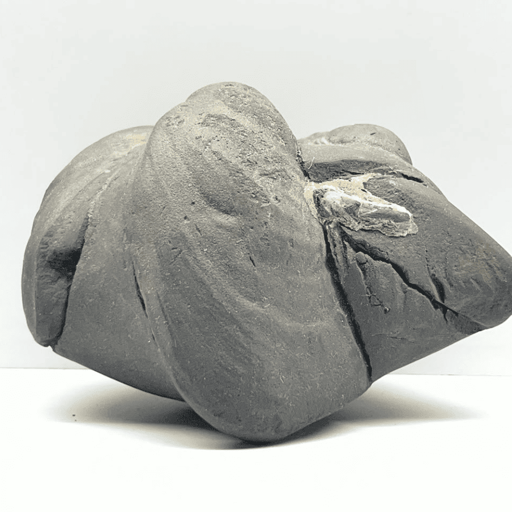 Janeudhaari Trideva Shaligram M23(4Inch/310gm)