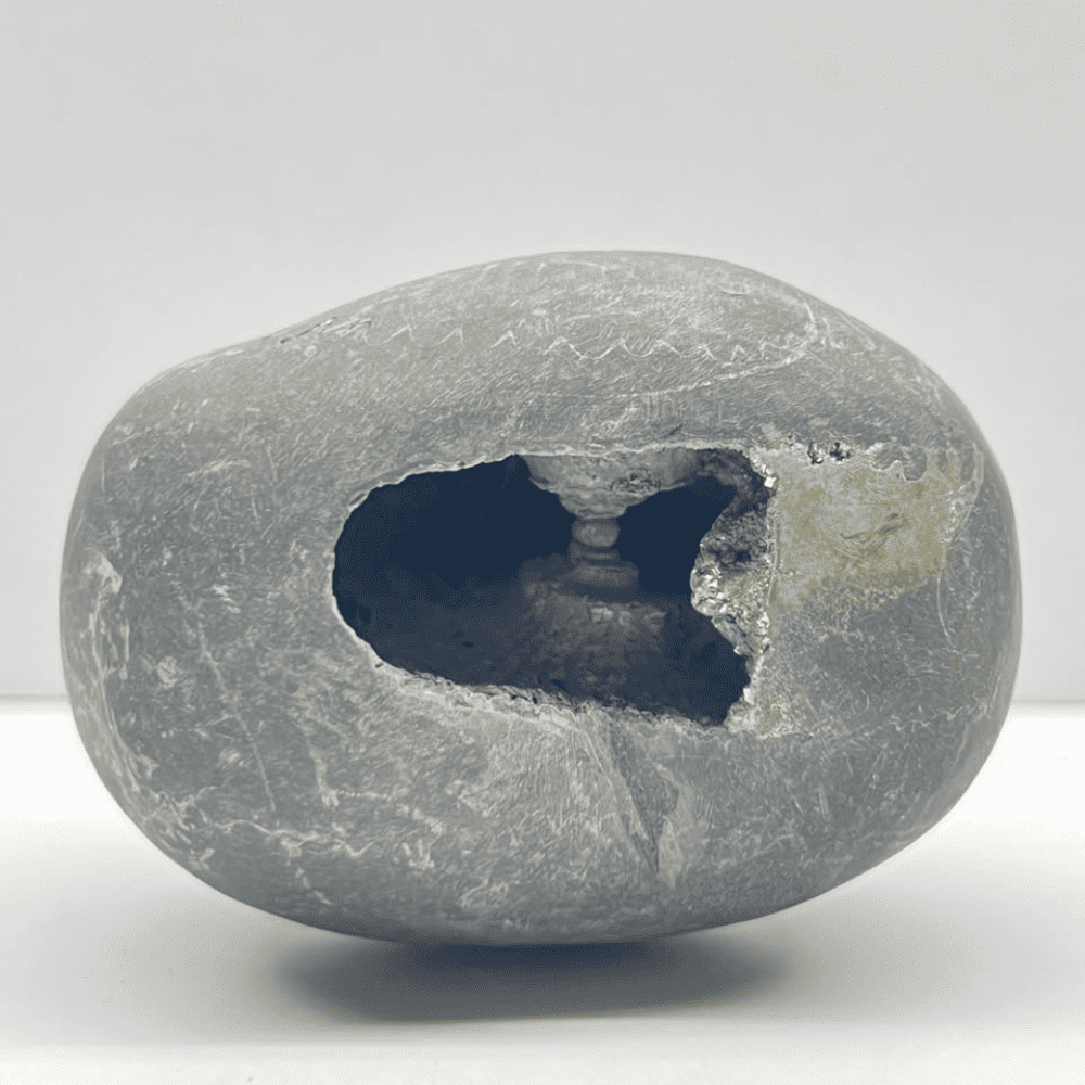Laxmi Narsimha Shaligram (LN23-3INCH/220GM)