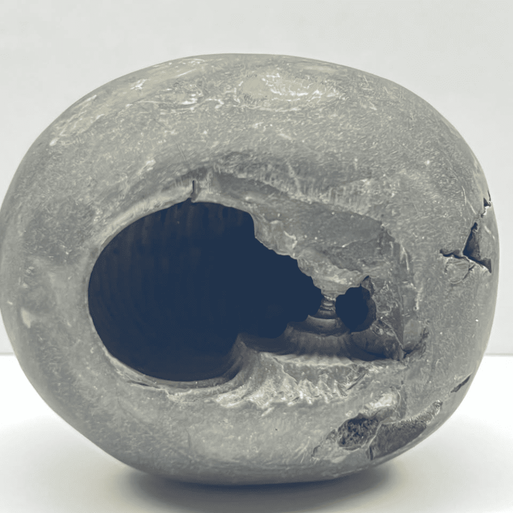 Laxmi Narsimha Shaligram (LN24-3INCH/250GM)
